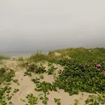 10 Person Holiday Home In Blavand * Blåvand