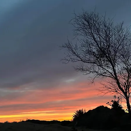 Hébergement de vacances Luxury Retreat With Pool - By Traum Blåvand