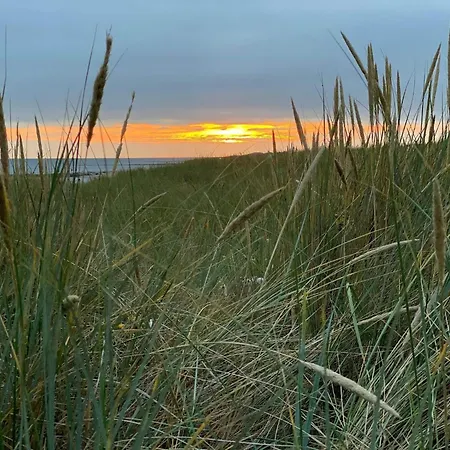 Luxury Retreat With Pool - By Traum * 布拉万德