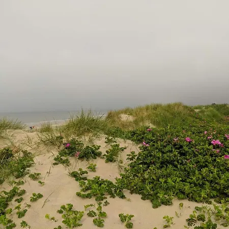 10 Person In Blåvand